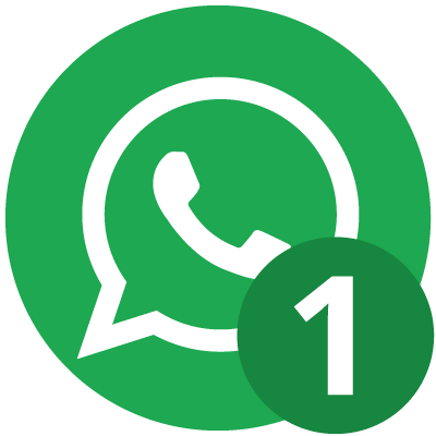 +56 9 90519484